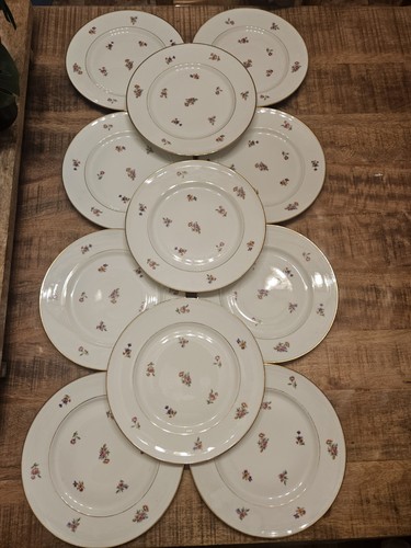 Lot assiettes plates - plates,
