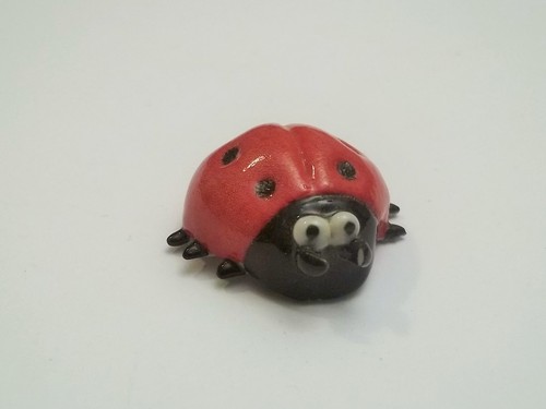 Coccinelle miniature - coccinelle,