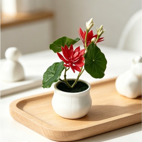 Plante pot nénuphar - pot,
