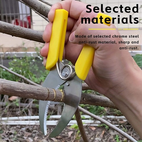 Sharp stripping peeling - stripping, knife