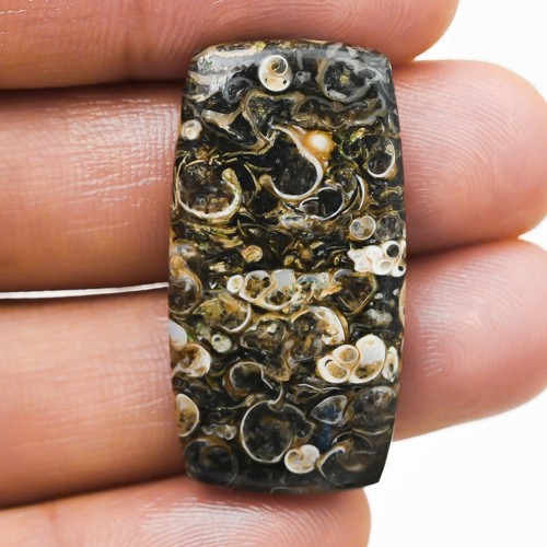 70cts jaspe turritella - jaspe,