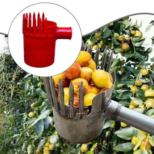 Cueille fruits rouge - cueille-fruits,