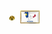 pins pin badge pin's drapeau