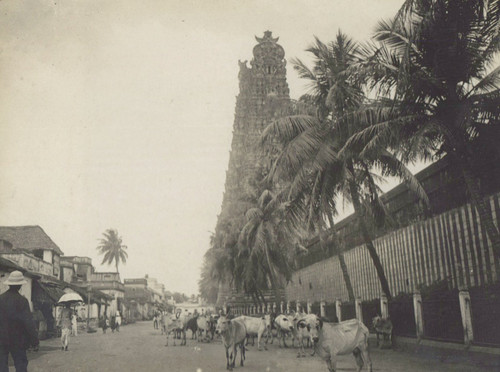 Inde madura temple - inde,, madura,