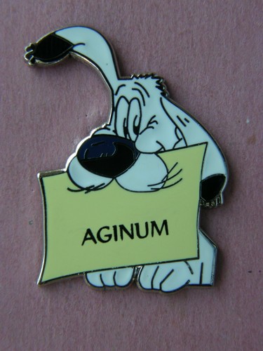 Idefix aginum le - ,,