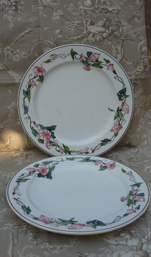 Grandes assiettes plates - assiettes,