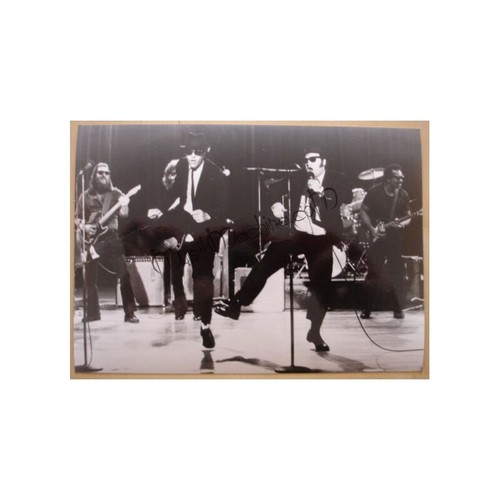 Photo blues brothers - photo, [dan