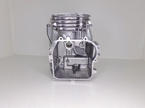Bloc cylindre moteur briggs - bloc,