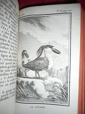 ORNITHOLOGIE BUFFON Histoire