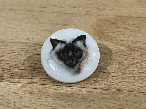 Pins pin animaux chat - pin, cat