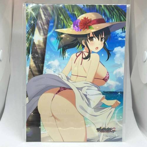 Asuka senran kagura new - b,