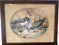 Tableau trompe-l’œil – vanneaux huppés – art animalier – décor naturaliste