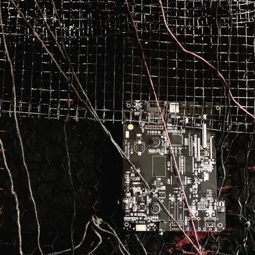 Vinile merzbow prurient - vinile,