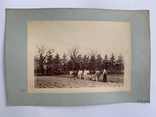 Photo albumine labourage la - labourage,