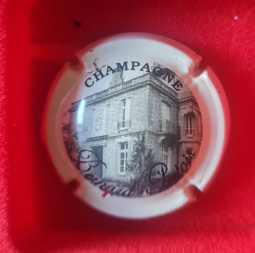 Capsule champagne jéroboam - capsule,