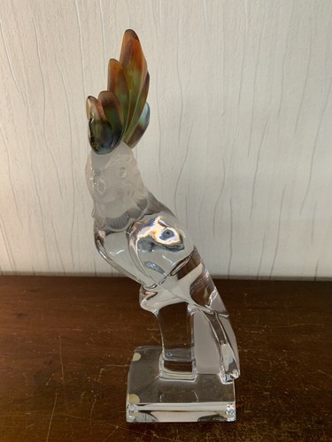 Cacatoès perroquet cristal - en,