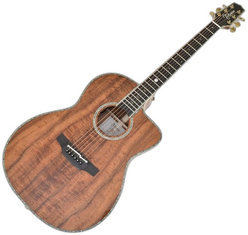 Takamine the 60th - the,