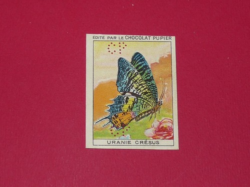 Chromo pupier 1930 - chromo, album