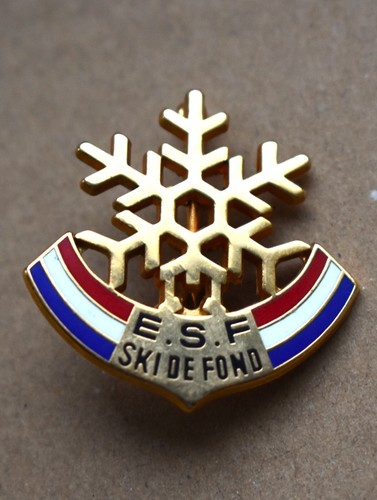 Insigne broche médaille ski - broche,