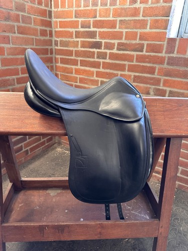 Dressage childeric swarowski - dressage,