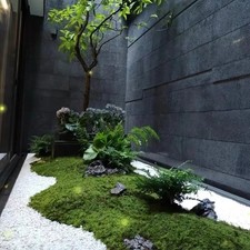 Tapis mousse verte texture douce pour divers espaces intérieurs extérieurs 100