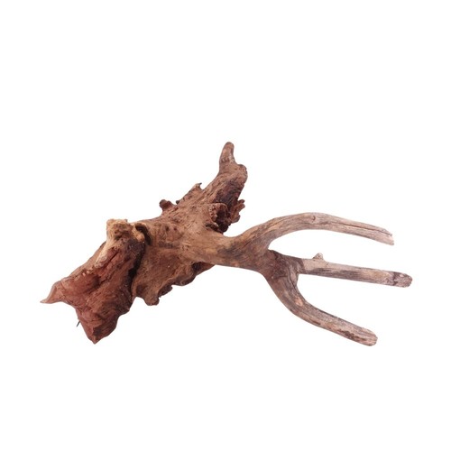 Aquaone driftwood racine de - aquaone, m