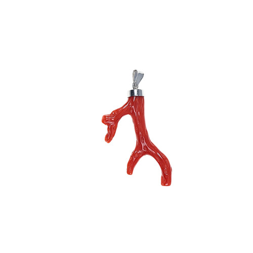 Branche corail rouge - de,