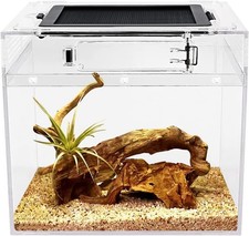 Mini Reptile Terrarium,8" x