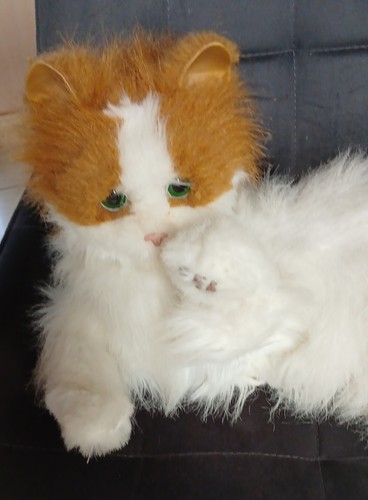 Peluche interactive chat - peluche,