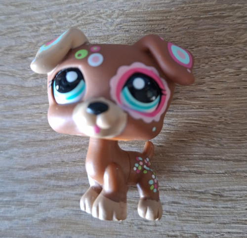 Chien jack russel - chien, #1579