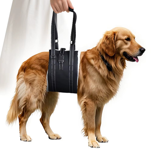 Harnais sling levage - sling,