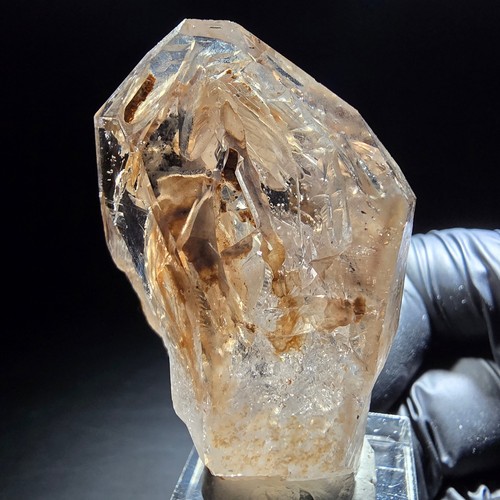 Point fenêtre sceptre - point, de