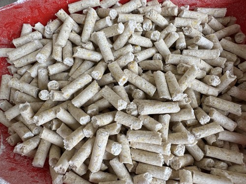Pellets carpe soja - 10,