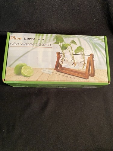 Plant terrarium with wooden - plant,