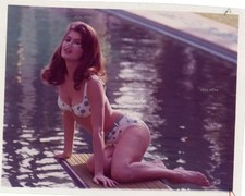 *pin-up transparency original