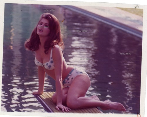 Pin transparency original - *pin-up,