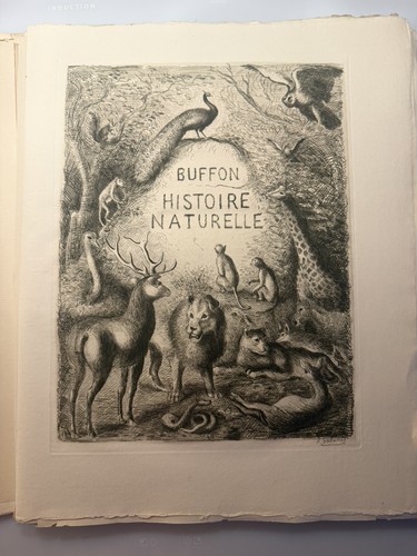 Buffon histoire naturelle - histoire,