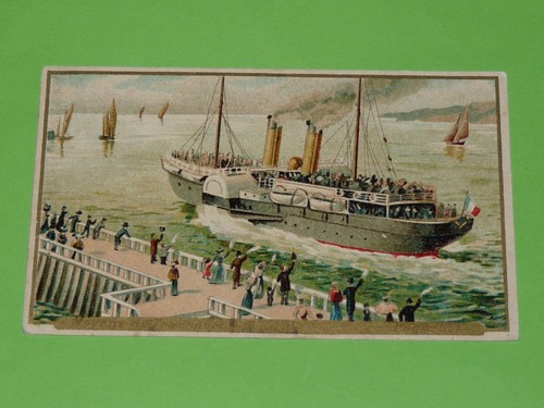 Chromo 1890 1914 chicoree - chromo, 1890-1914