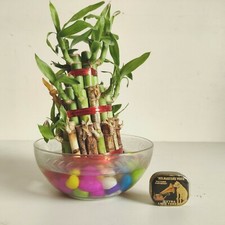 Vintage Ses Maîtres Voix