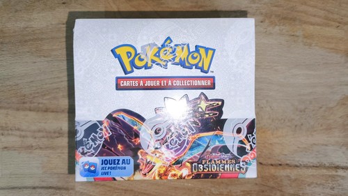 Display pokemon flammes - pokemon,