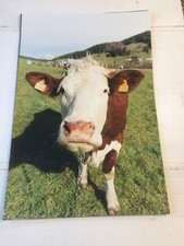 lot de 7 photo (POSTER) 750 x