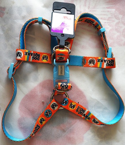 Harnais avec sangle - , ventrale