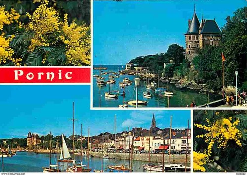 Carte postale pornic - carte,