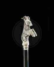 Bâton De Marche Tête