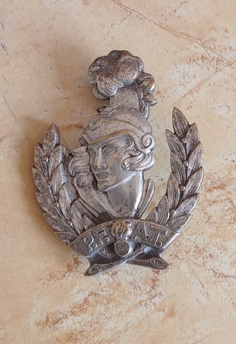 Insigne pfat personnel - insigne,