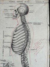 Rare dessin original grand