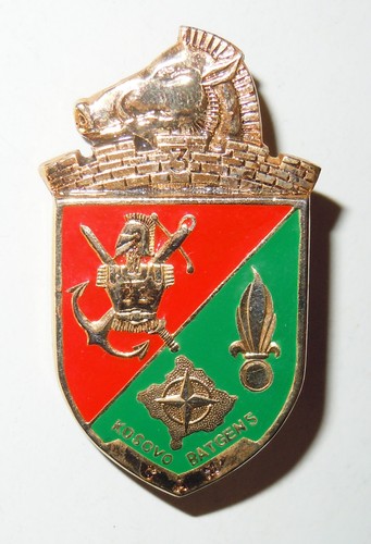 Insigne régiment du - insigne,