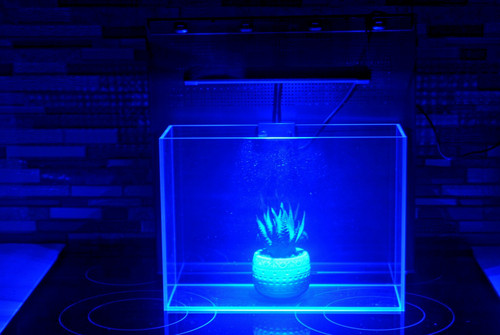 Reef nano tank aquarium - nano,