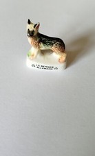 Fève chien : LE BERGER