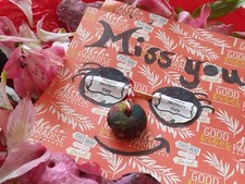 Petites photos d'art mural encadrées